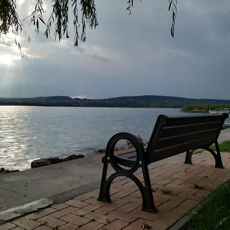 Elizabeth Vendeghaz Balatonfuzfon A Strandnal 빌라