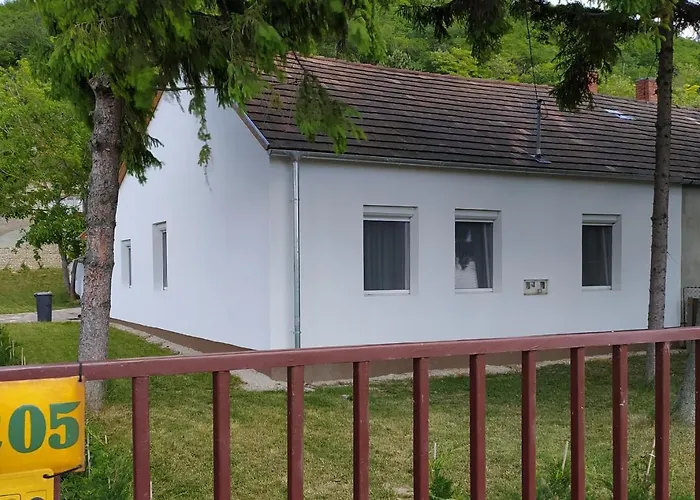 Elizabeth Vendeghaz Balatonfuzfon A Strandnal Balatonfůzfő