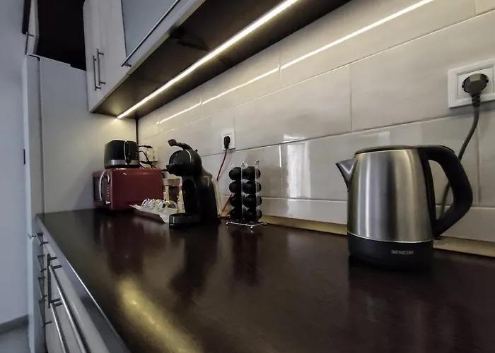 Elizabeth Vendeghaz Balatonfuzfon A Strandnal Villa *